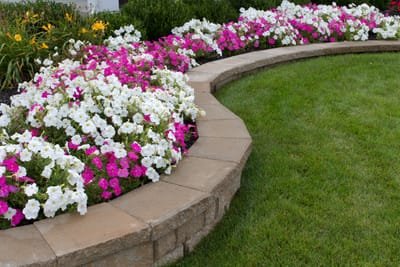 Paver patios and walkways