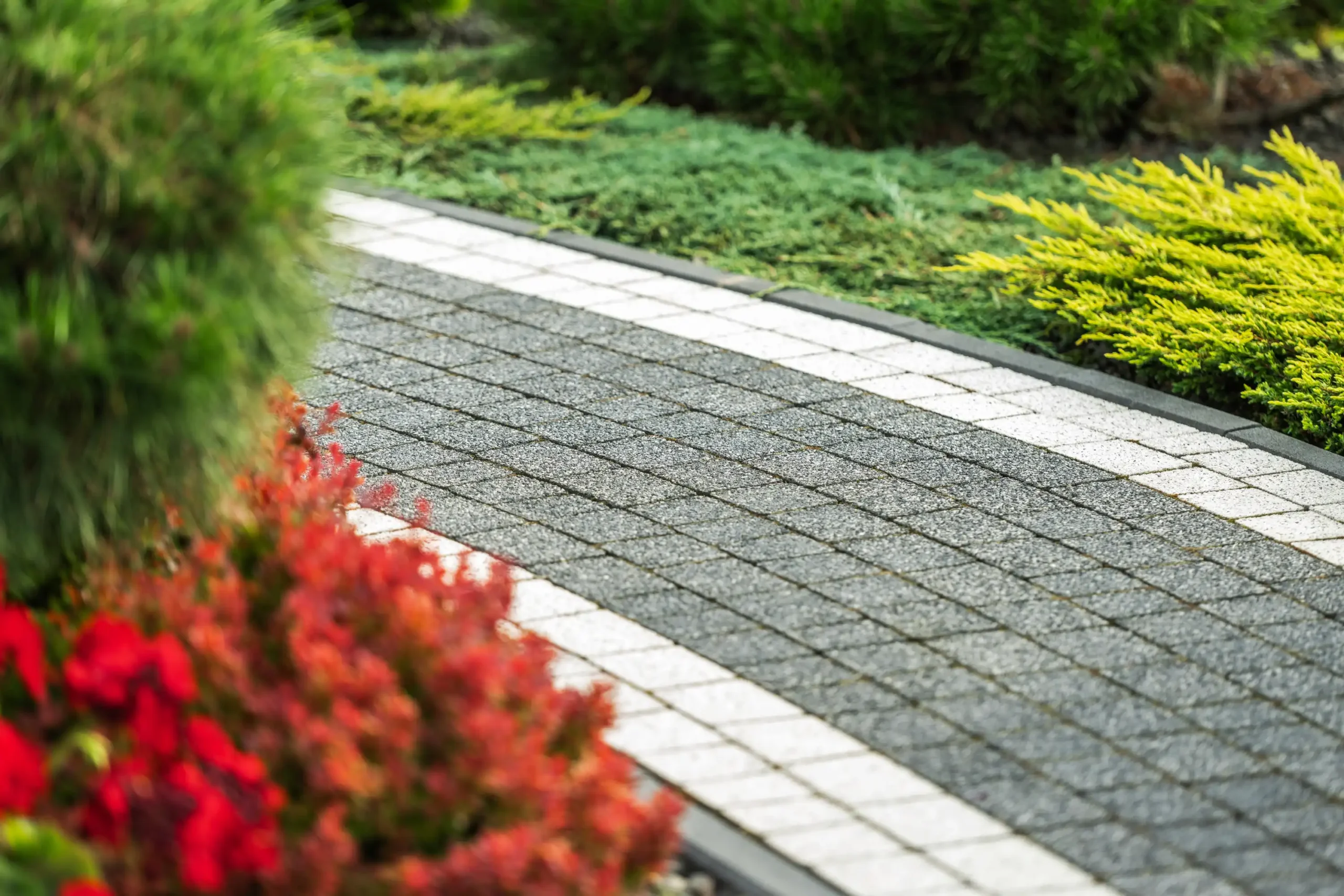 Landscape Design, Installation & Maintenance